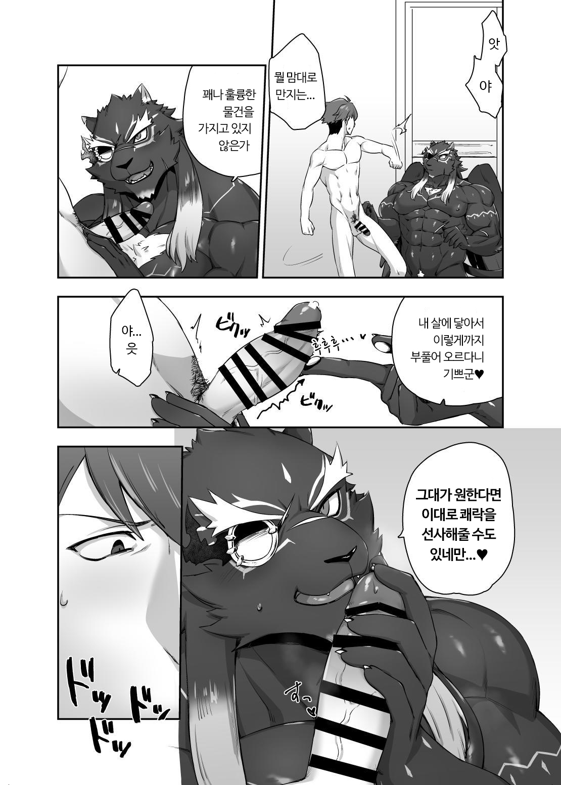 貪欲なオス猫 貪欲なオス猫