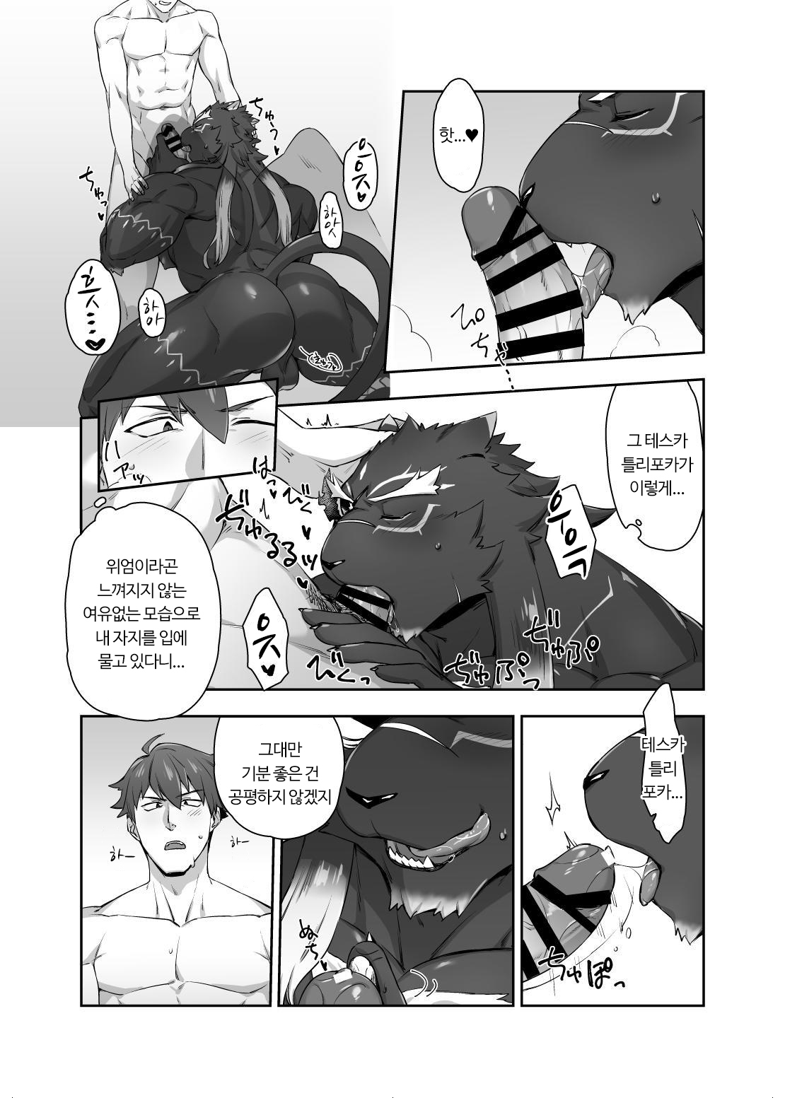 貪欲なオス猫 貪欲なオス猫