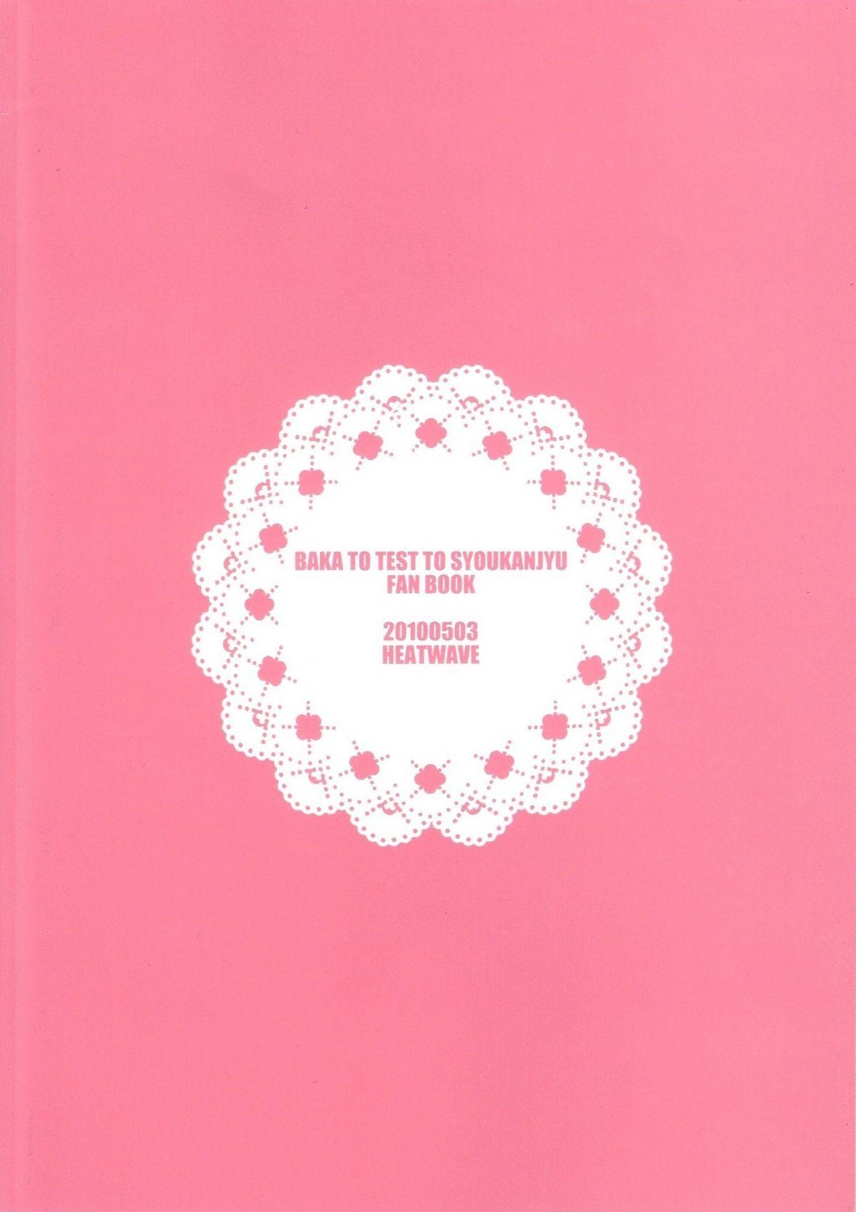 [HEATWAVE (雄飛)] バカも通せば男だぜ! (バカとテストと召喚獣) [中国翻訳]