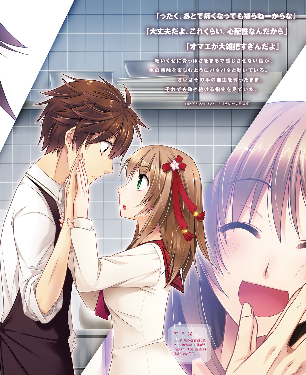 BitterPrincess Vol.2 [DL版]