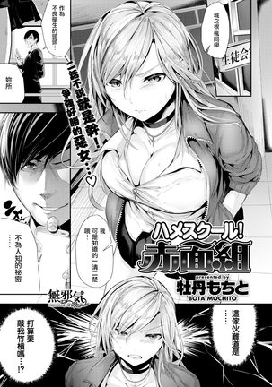 サドルスクールブラッシュグループ(非検閲) サドルスクールブラッシュグループ(非検閲)