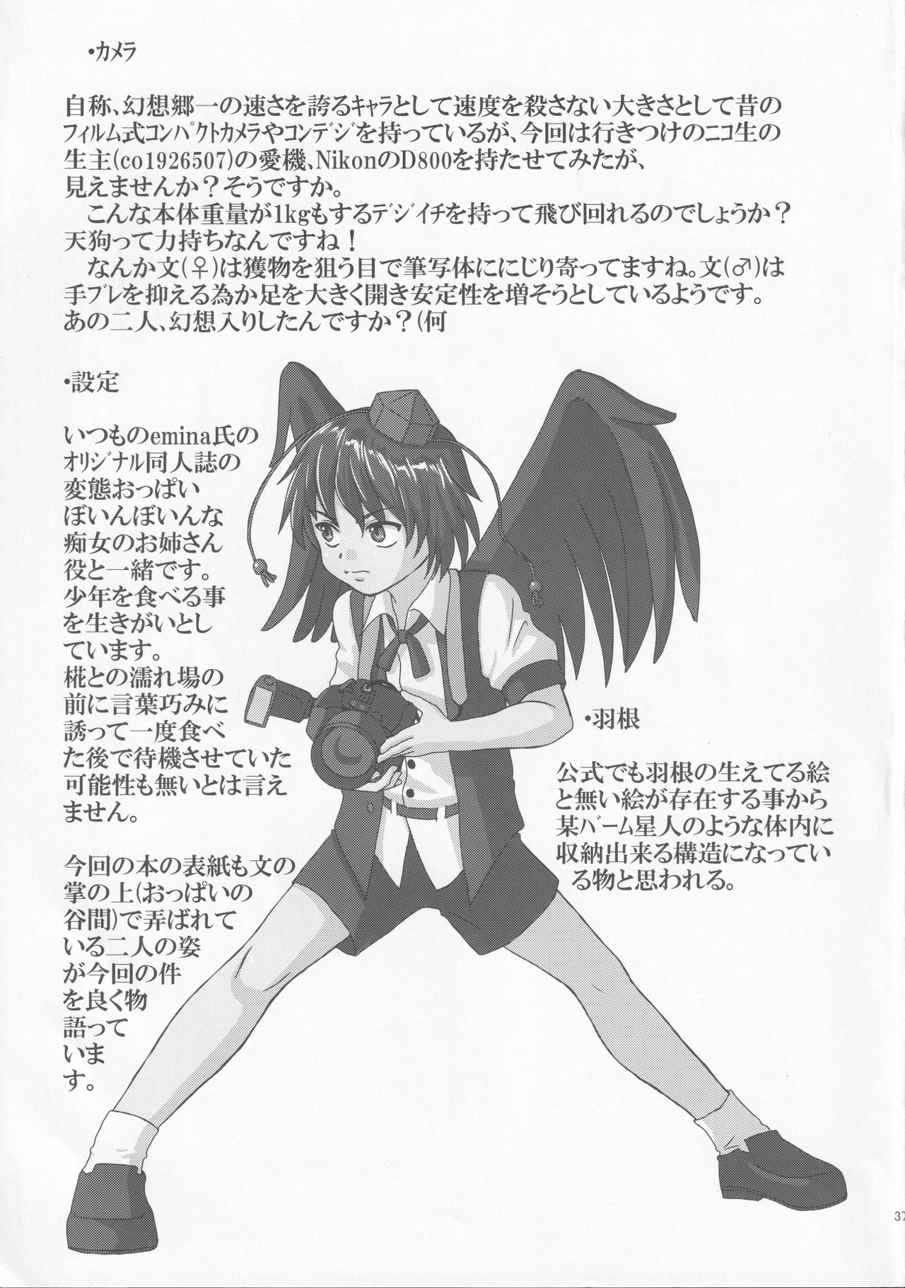 [魔導資料室 (嵐-D-悪鬼羅、佐々木てろん、emina)] トリプルファイター ‐みつどもえ‐ (東方Project)