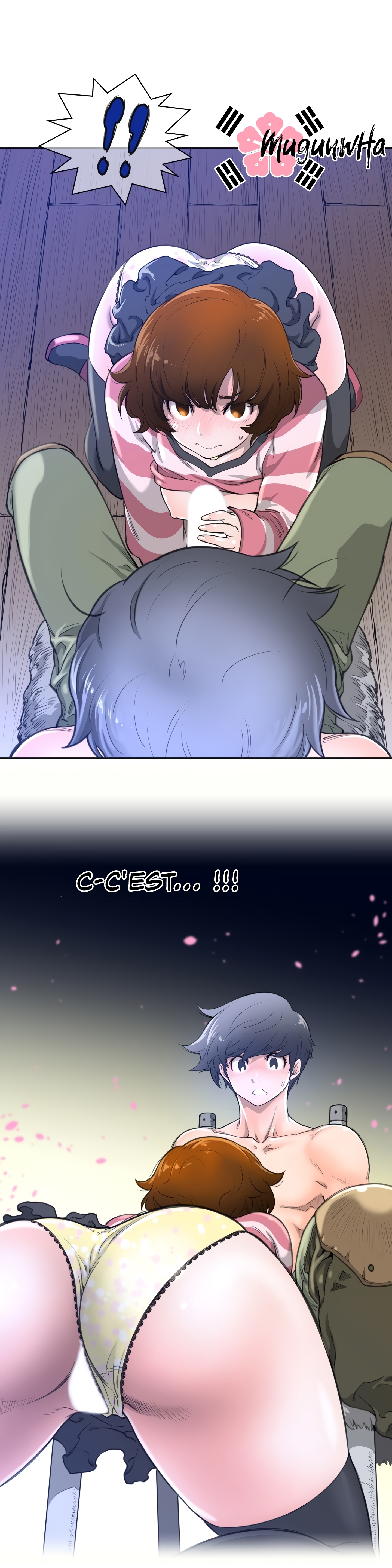 パーフェクトハーフ1à5 パーフェクトハーフ1à5