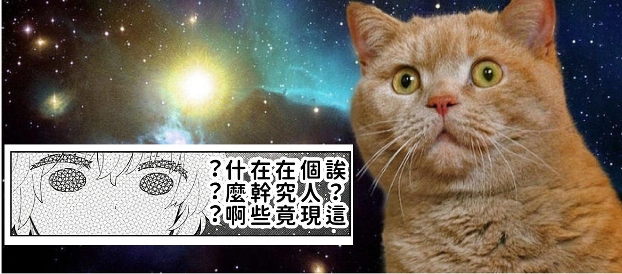 [シイナ] ノラネコ少女との暮らしかた 第22-28話 [中国翻訳]