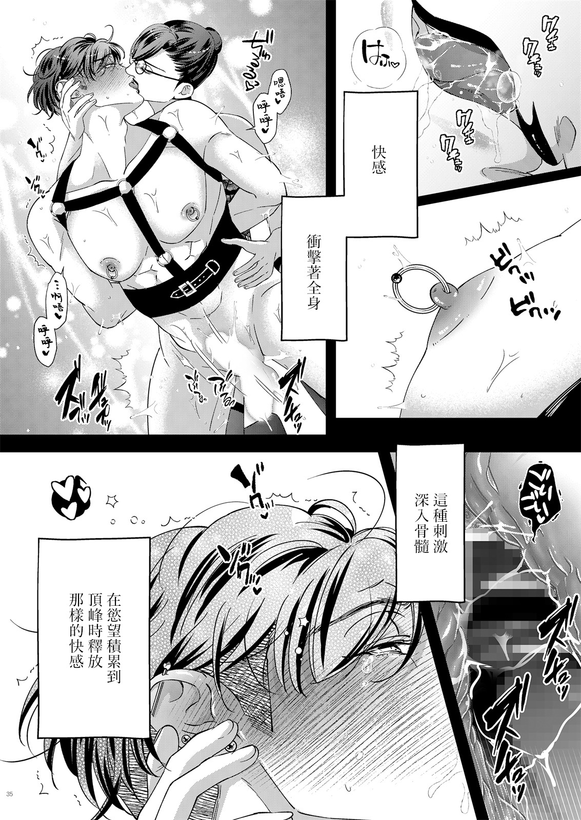 ガバネス2中国語 ガバネス2中国語