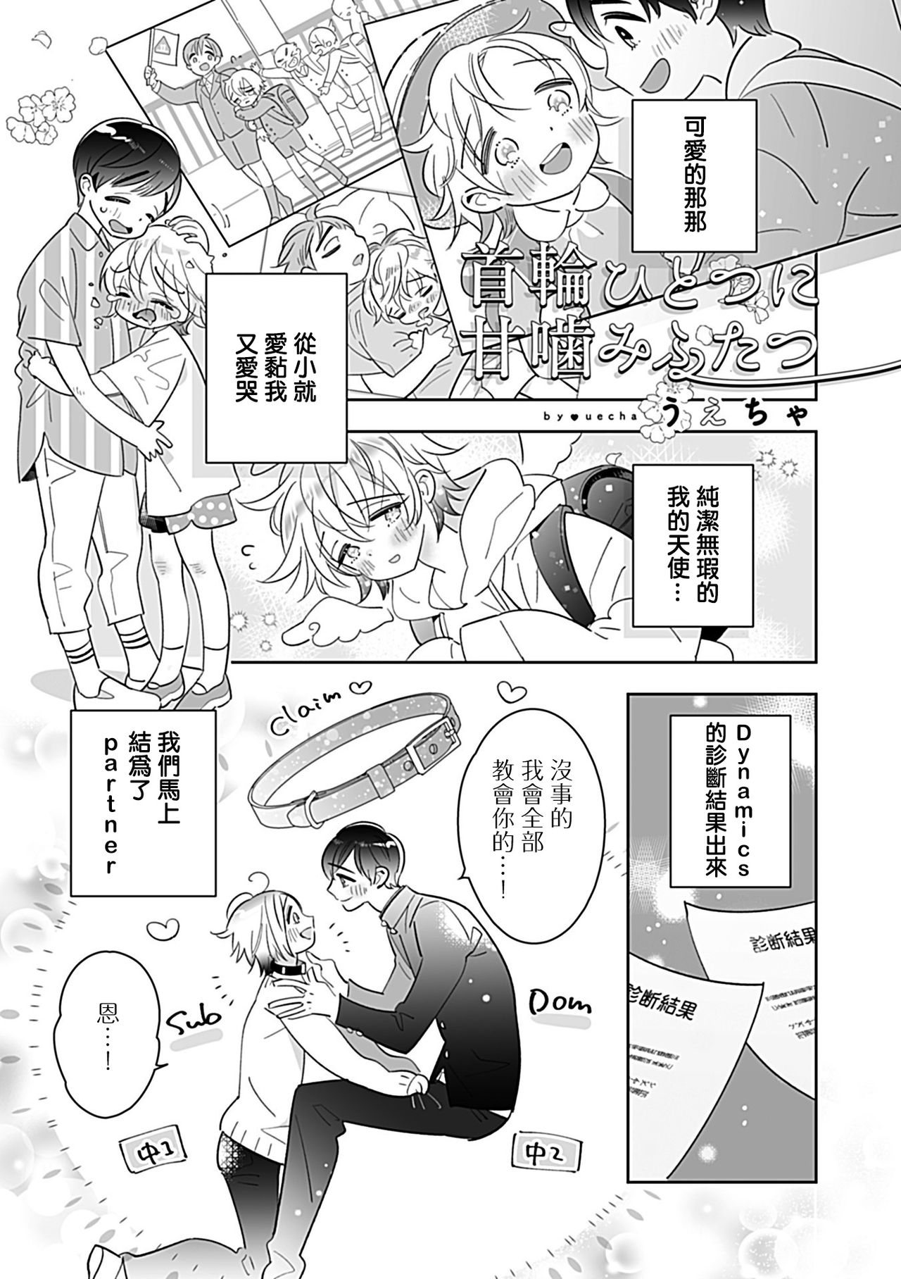 [アンソロジー] Dom/SubユニバースBL [中国翻訳] [DL版]