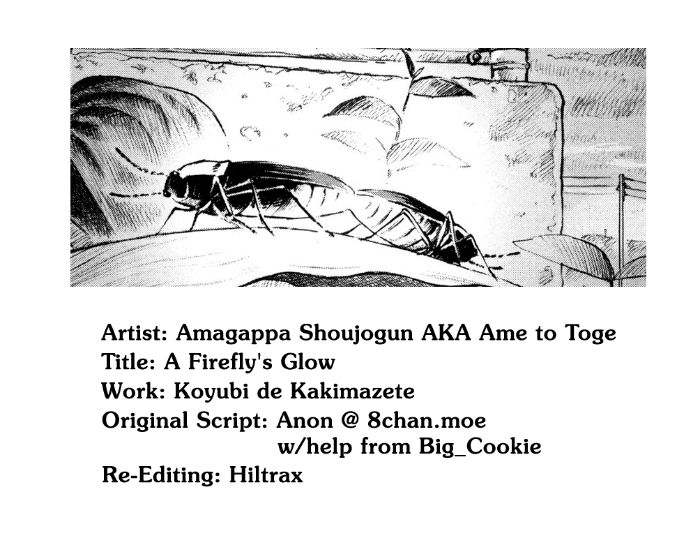 [雨がっぱ少女群] ほたるのひかり (小指でかきまぜて) [英訳]