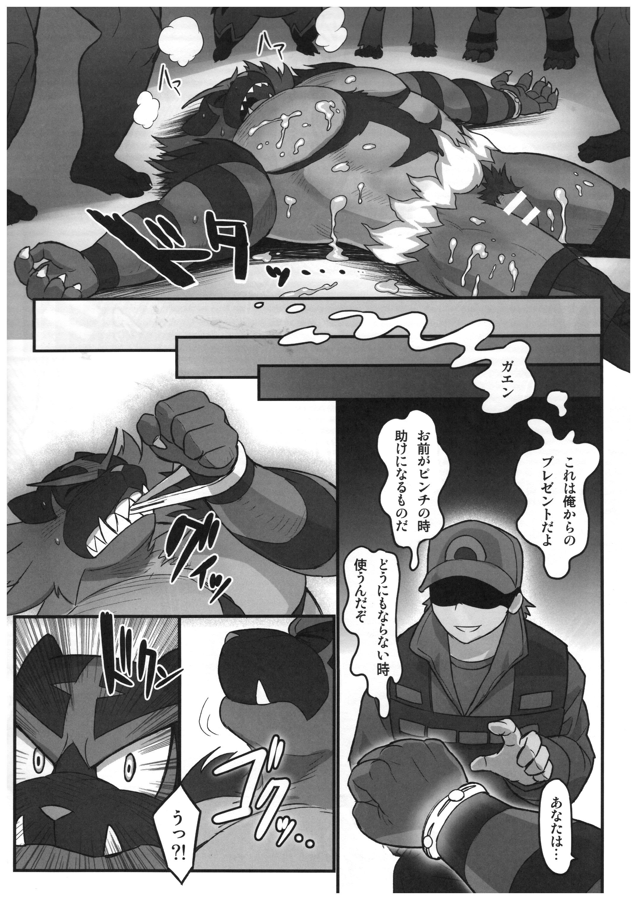 ガオガエン同人