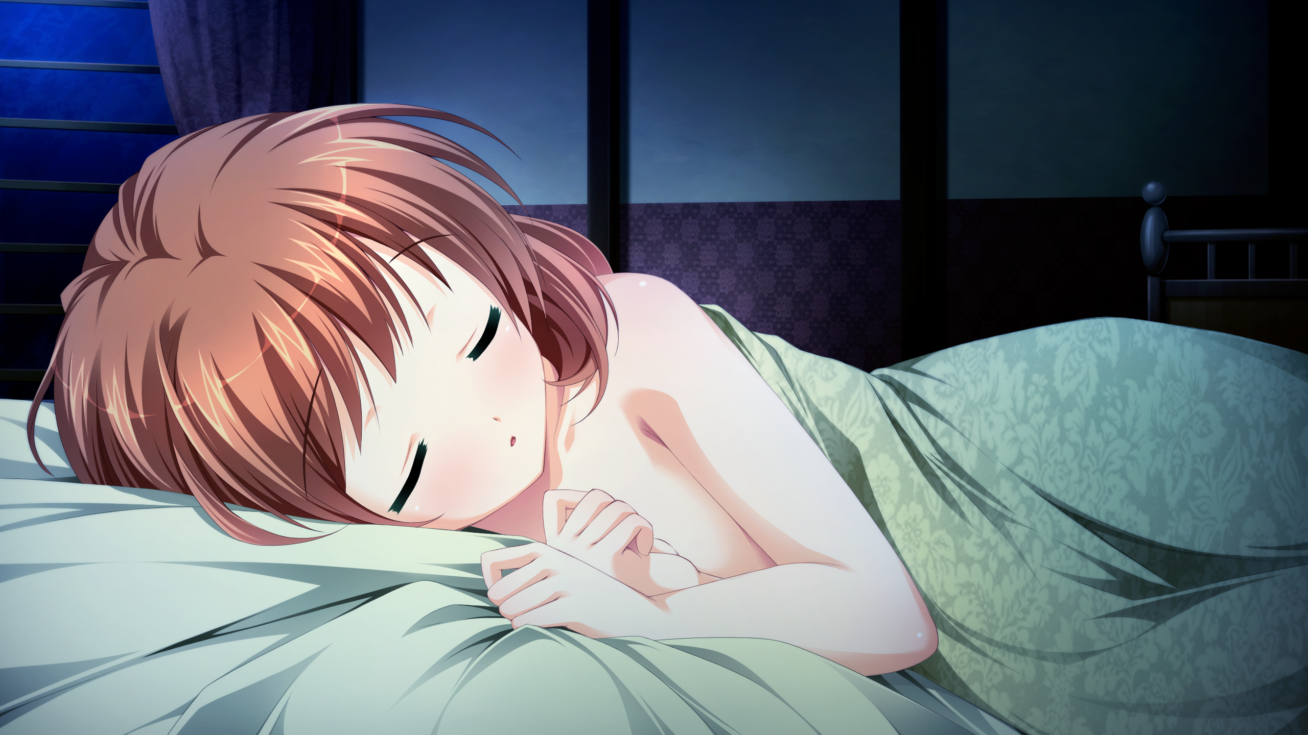 乙女が紡ぐ鯉のキャンバス〜ふたりのギャラリー