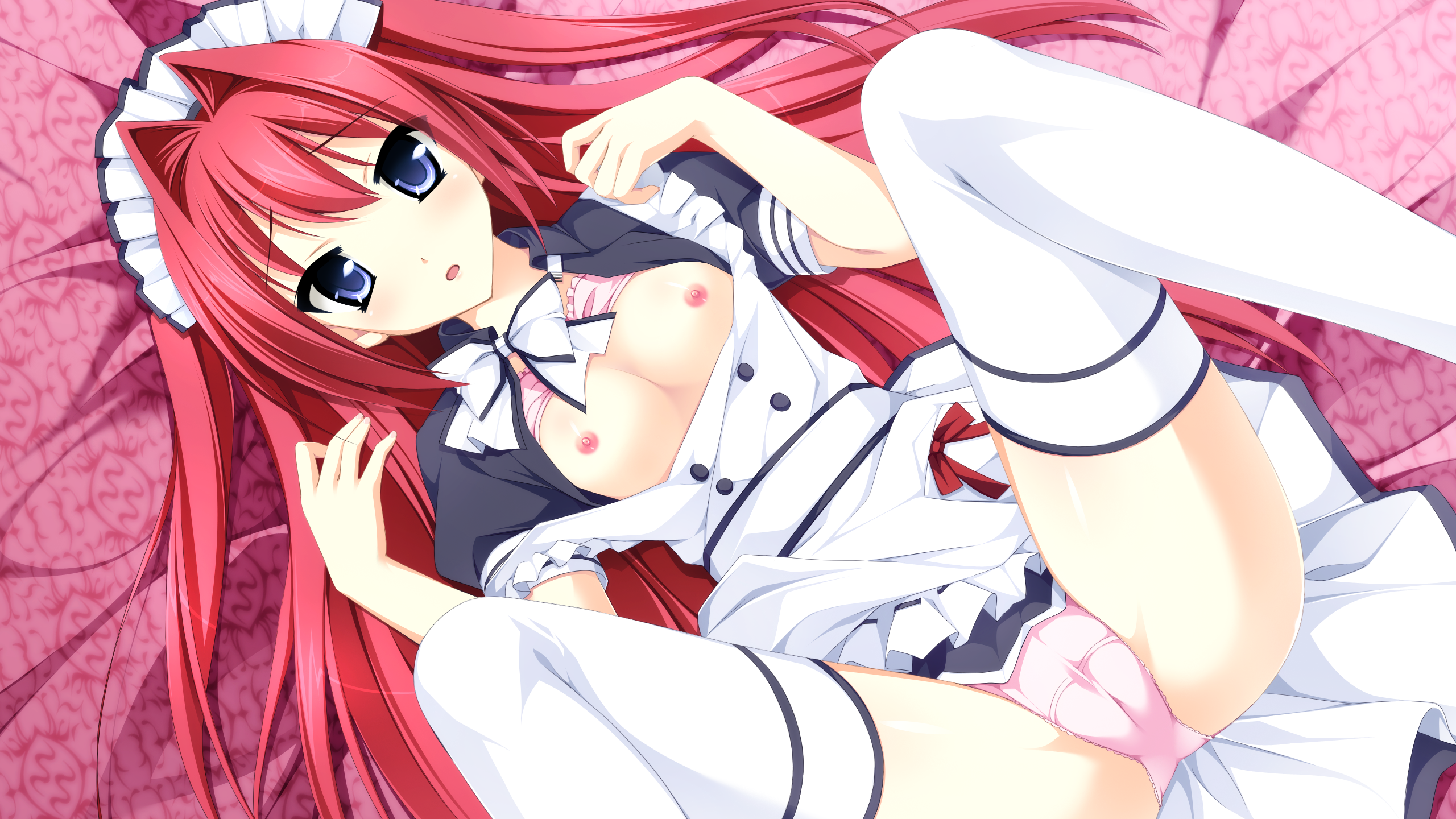 乙女が紡ぐ鯉のキャンバス〜ふたりのギャラリー