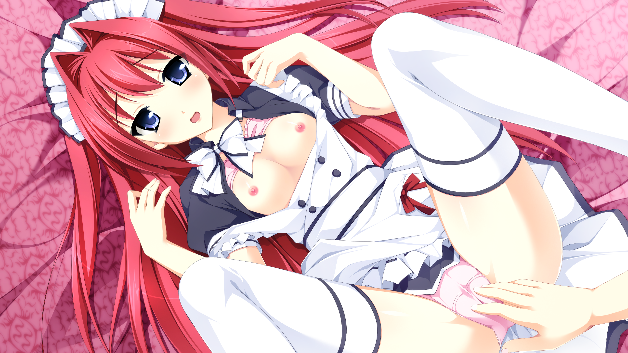 乙女が紡ぐ鯉のキャンバス〜ふたりのギャラリー