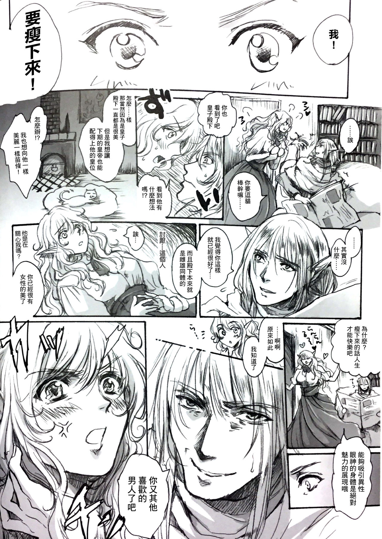 (C84) [Flieger (貂)] STOISCH [中国翻訳]