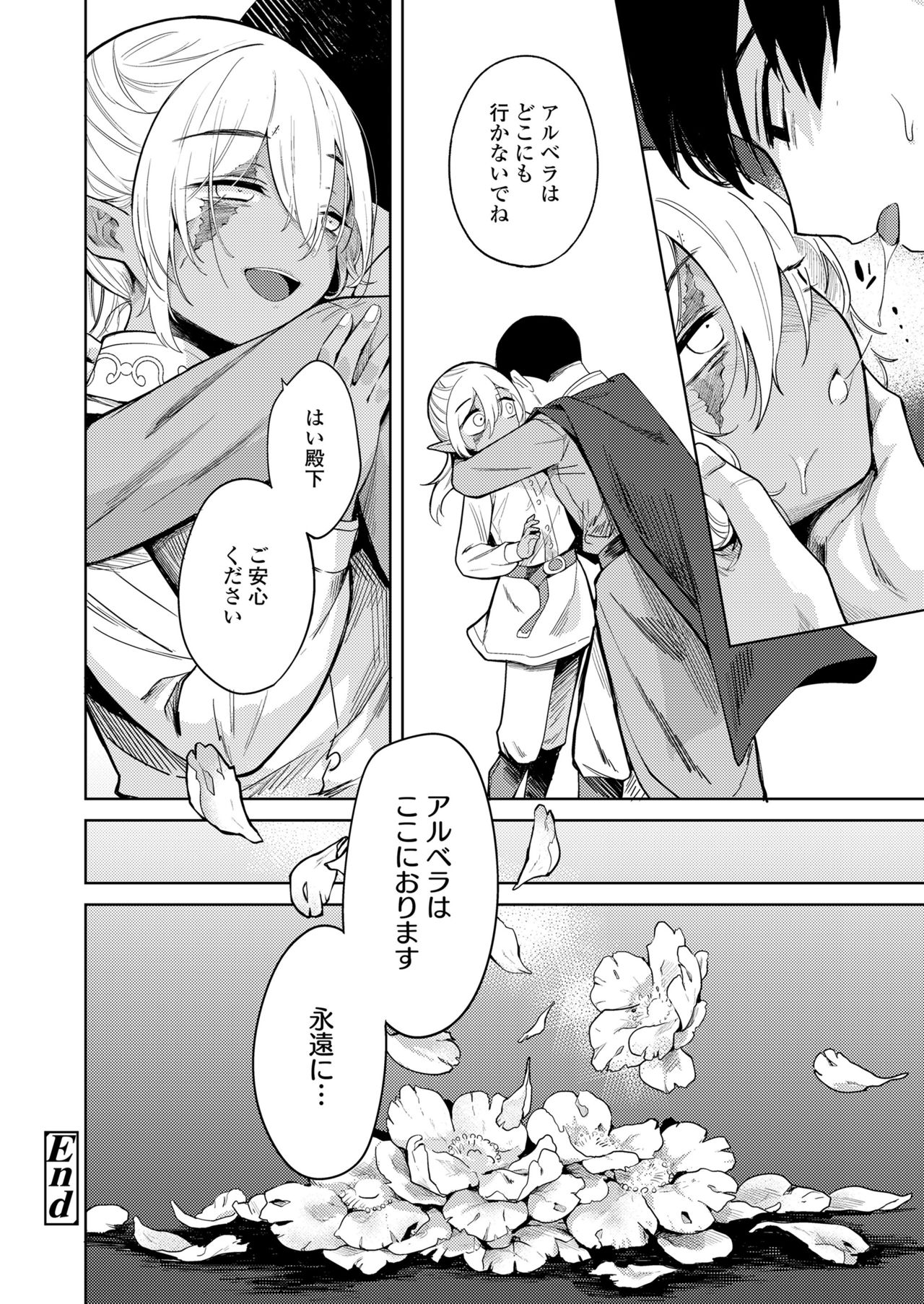永遠娘 11 [DL版]