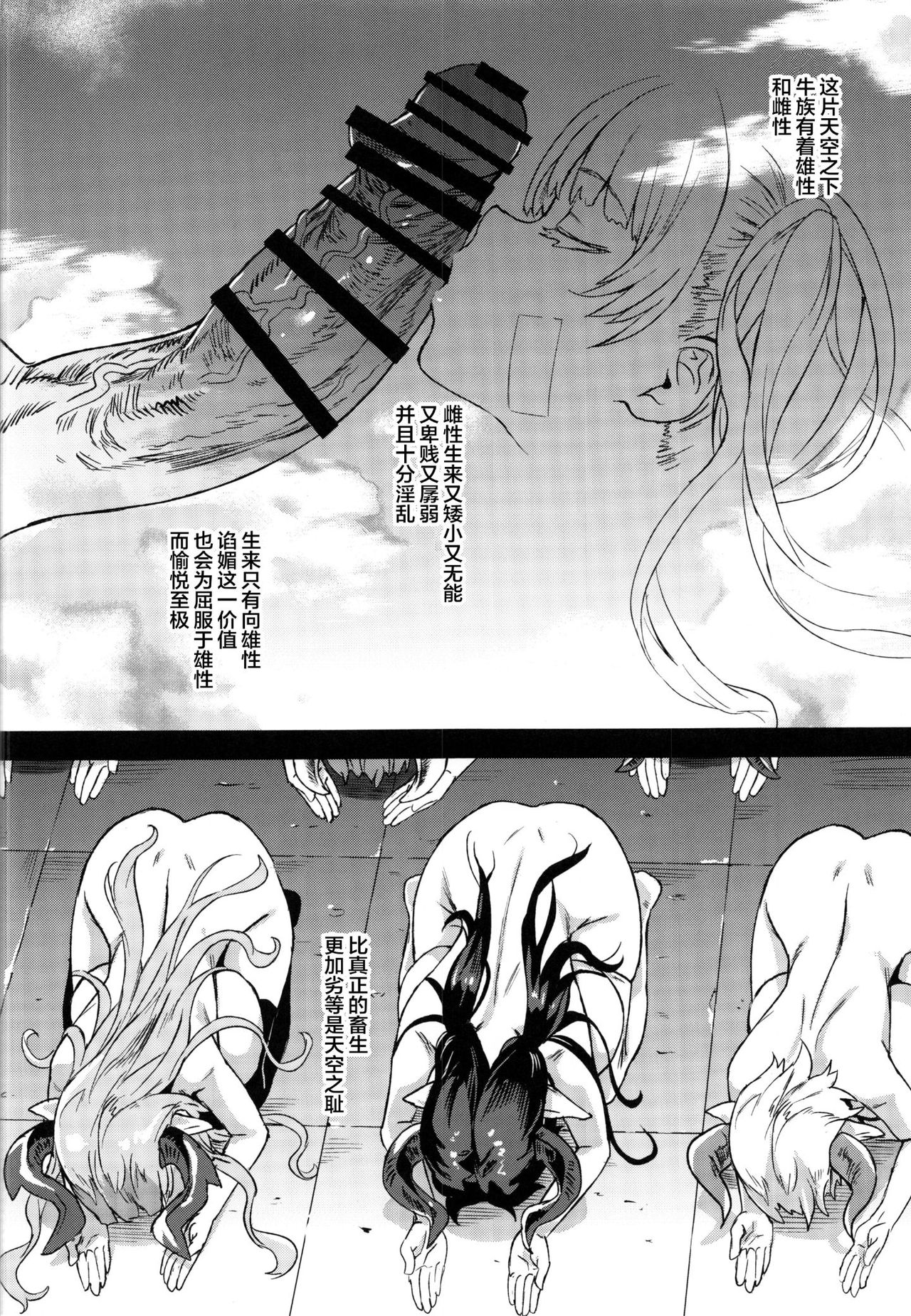 (C97) [Fatalpulse (朝凪)] BOTTOM of the SKY (グランブルーファンタジー) [中国翻訳] [ページ欠落]