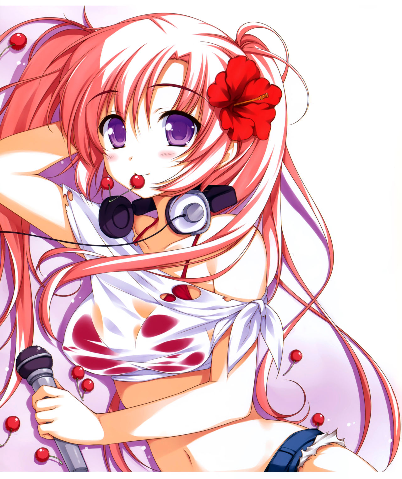 Moeoh セレクション alpha rhythm 有葉画集 [ページ欠落]