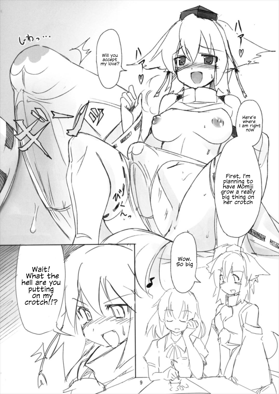 (例大祭14) [TEDDY-PLAZA (瀬尾辰也)] 射命丸教授の比率的愛情 (東方Project) [英訳]