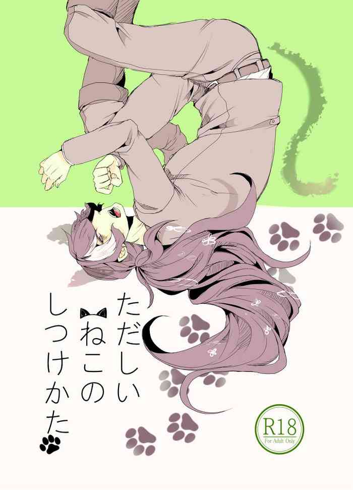 [ONE BY ONE (るいか)] ただしいねこのしつけかた (逆転裁判) [DL版]