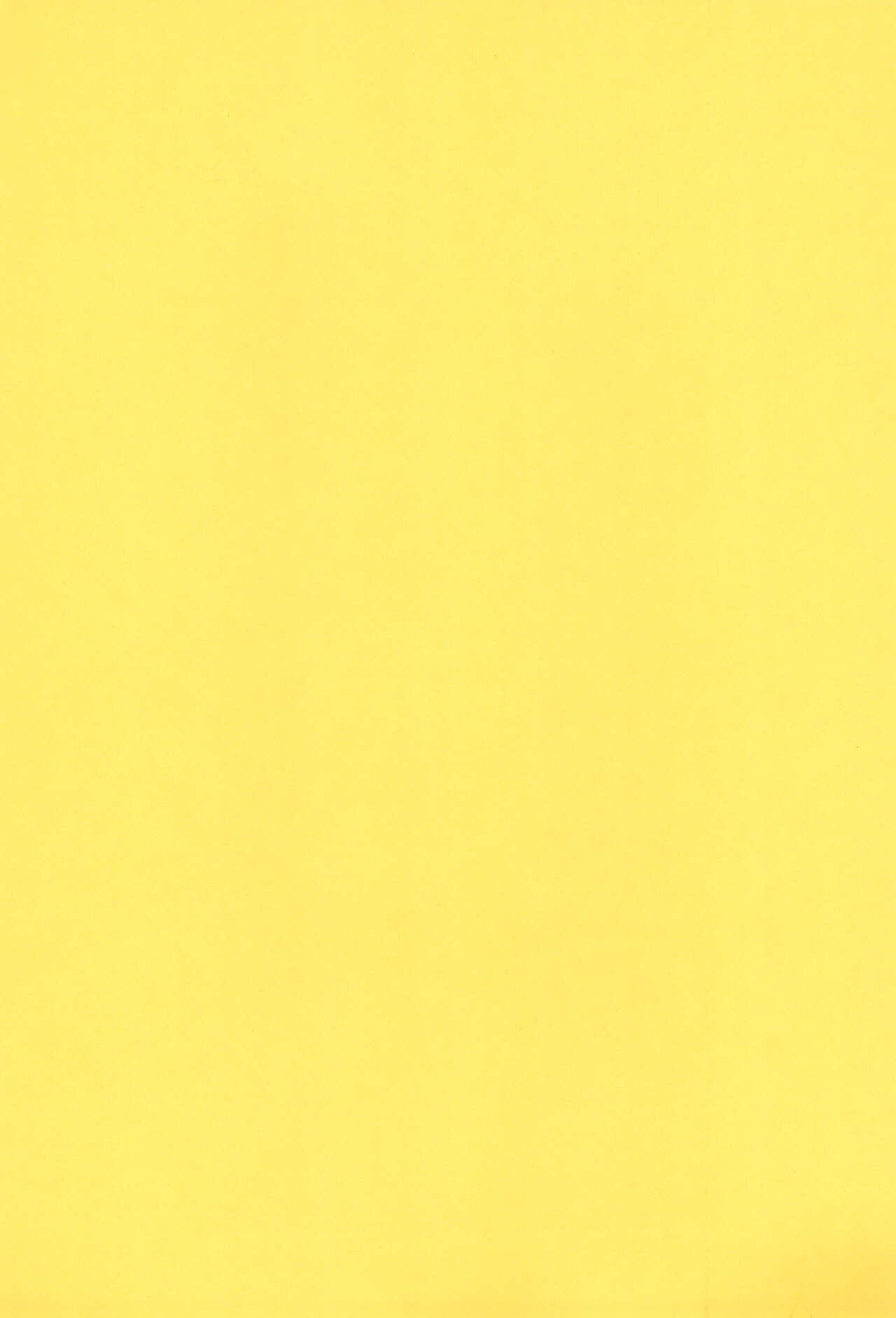 (C57) [P.A.Project (てるき熊)] 奮戦!ガンバリオン Version up.001