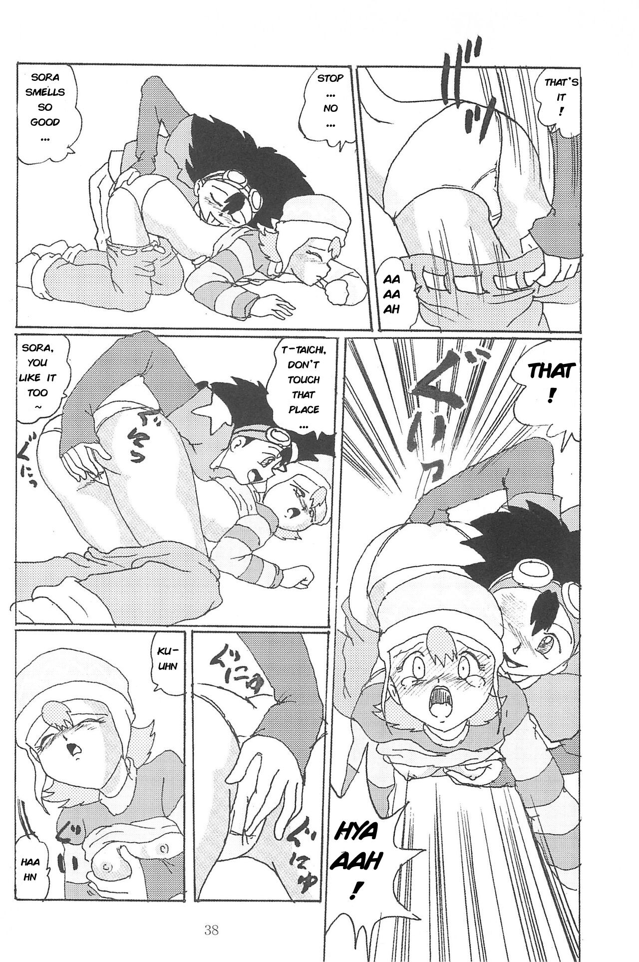(Cレヴォ28) [和泉屋] ぶろうあっぷ 8 (デジモンアドベンチャー02) [英訳]
