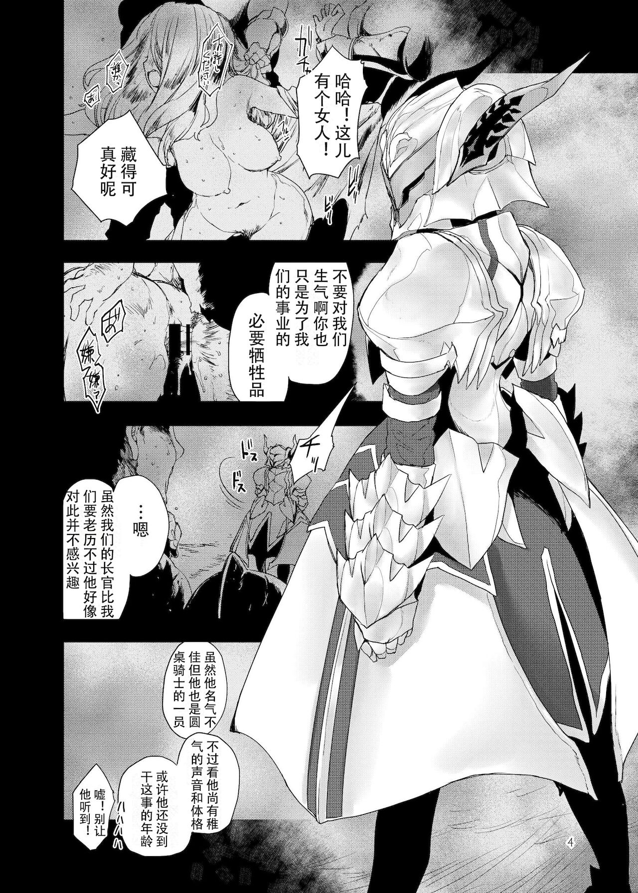 [Peθ (もず)] Honeys (Fate/Grand Order) [中国翻訳] [DL版]