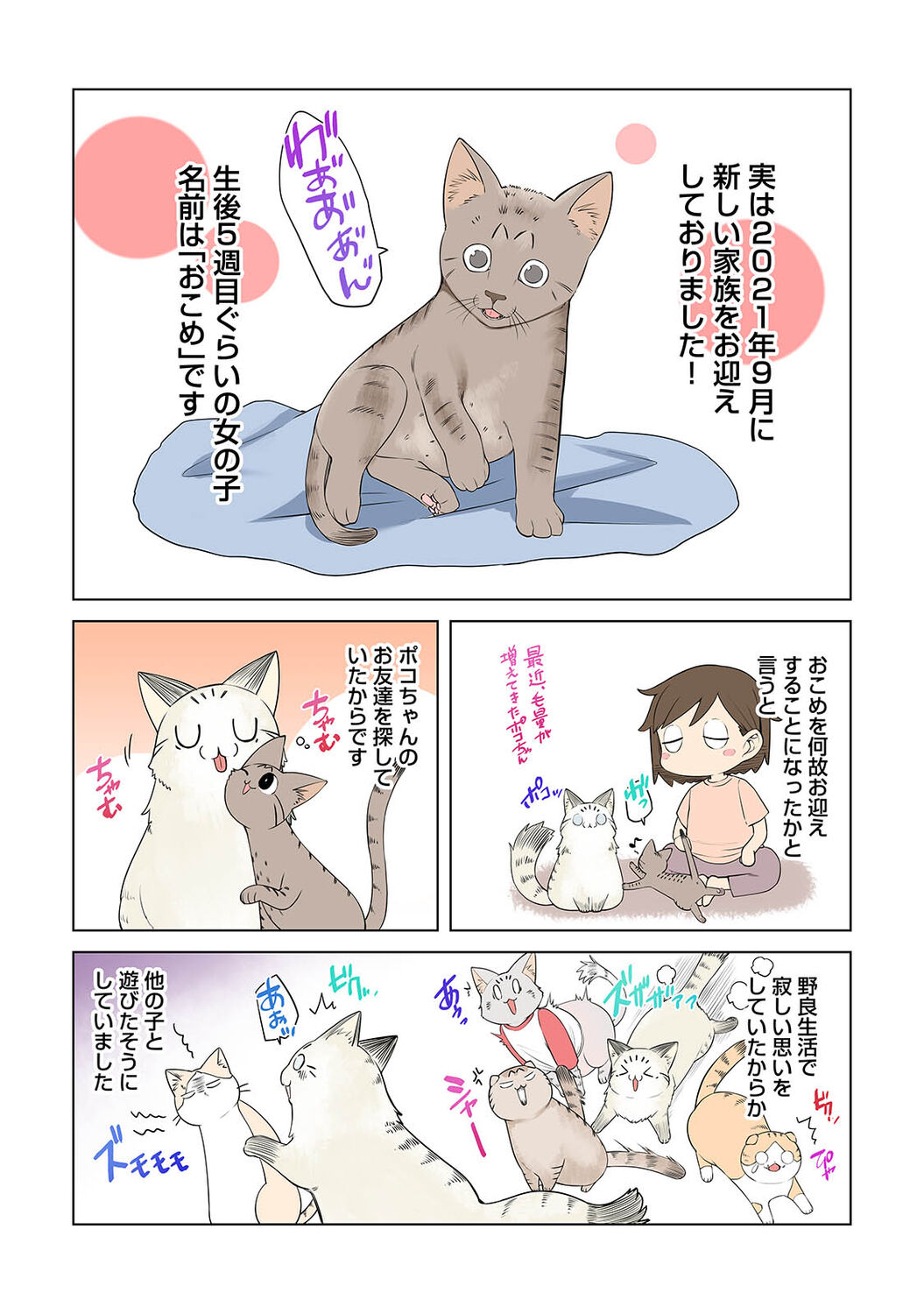 アナンガ・ランガ Vol. 79