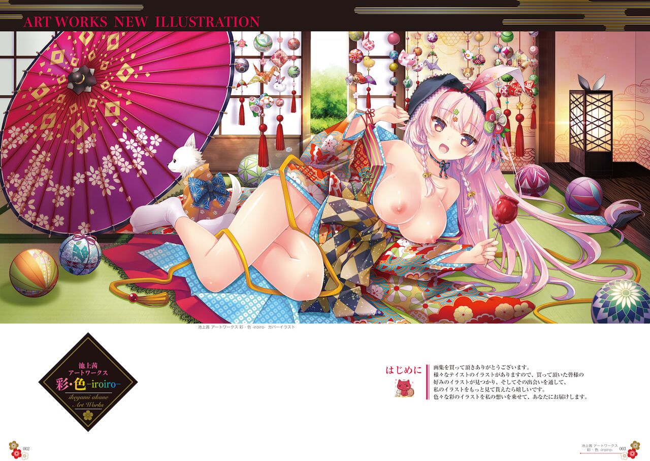 池上茜アートワークス 彩・色-iroiro-