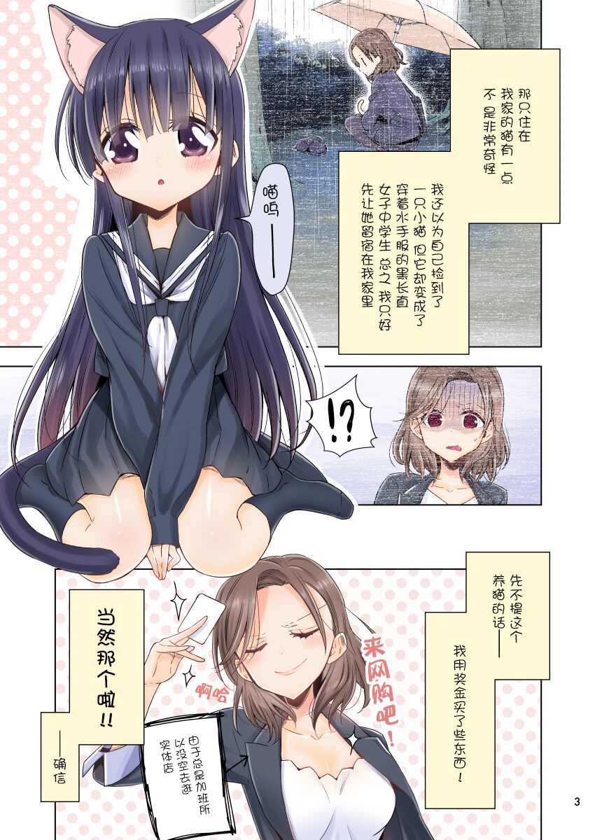 [Waterfall (嵩乃朔)] OLさんが猫を拾う話。Vol.2 [中国翻訳] [DL版]