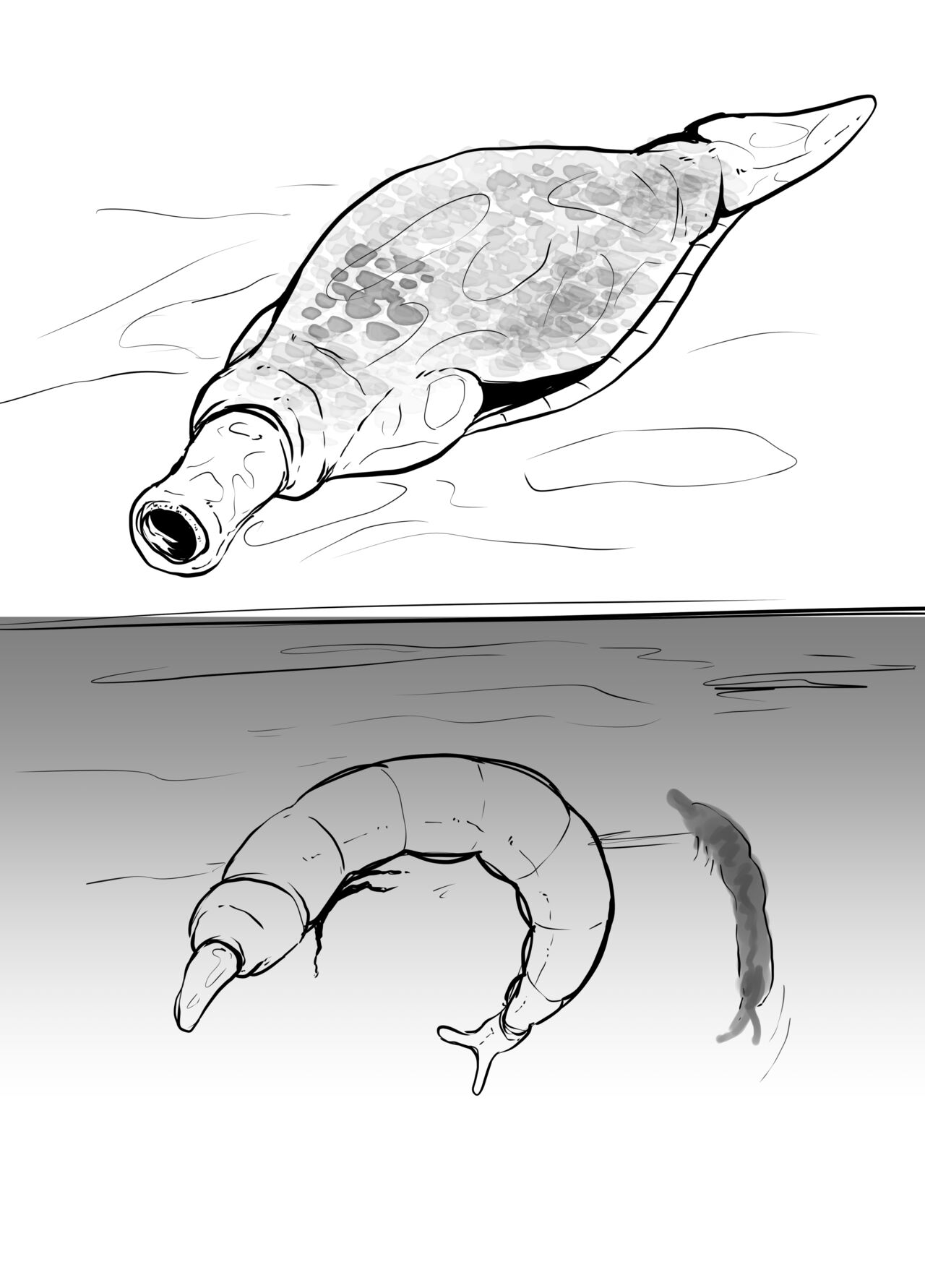 [天乃輝]苗床