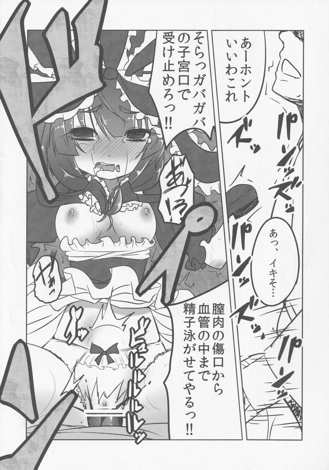 (紅楼夢7) [破り処 (ハカノシンシ)] 厄神母娘 -母雛ちゃんの厄払い- (東方Project)