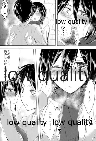 (C85) [じゃがバター (おいも)] エレンとミカサがただのラブラブな本 (進撃の巨人)