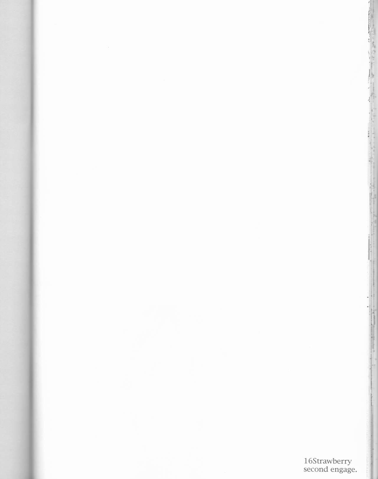 (C70) [LOVE DROP (奥田らく)] 16Strawberry (ブリーチ)