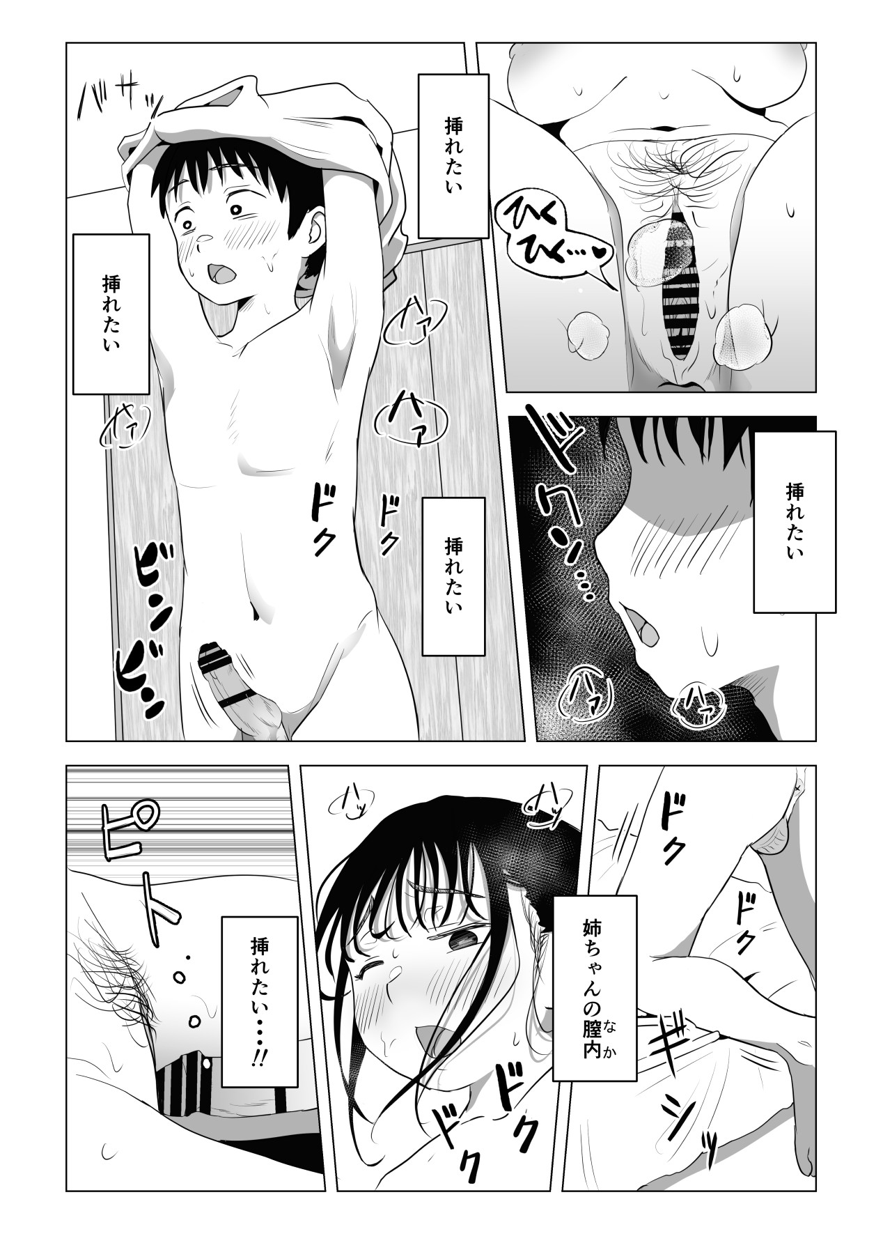 [もちち丸] あたりまえせっくす ～姉と弟の日常～
