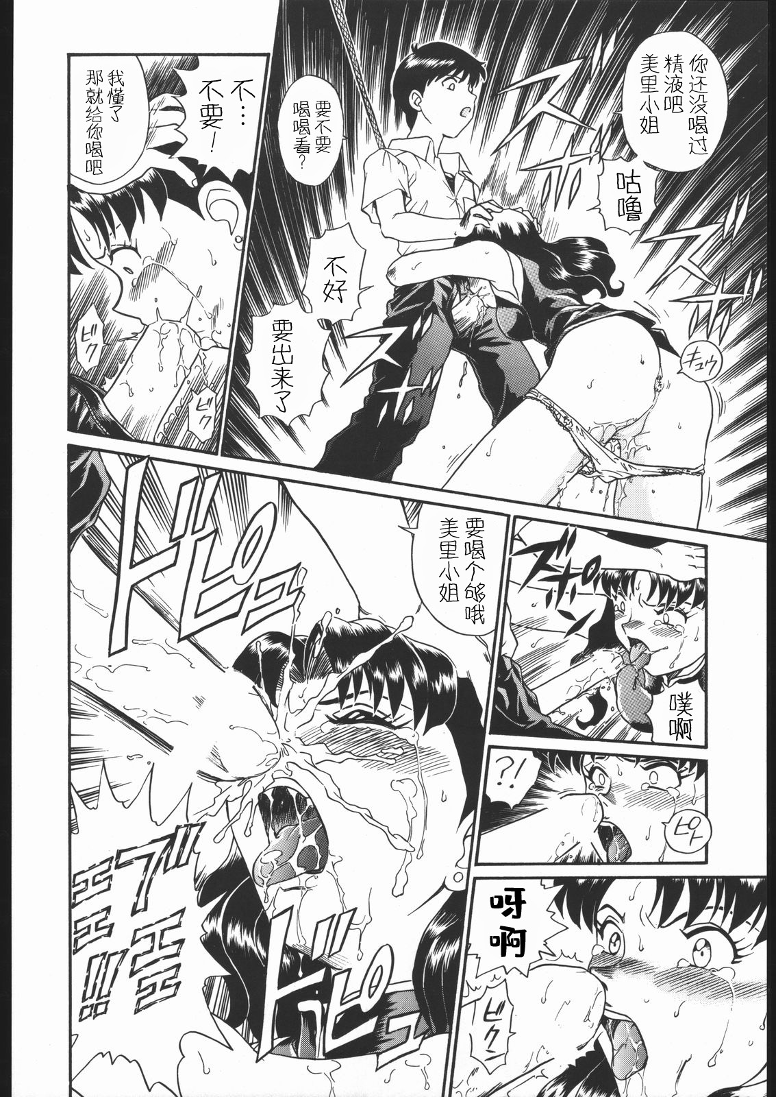 (C54) [RAT TAIL (IRIE YAMAZAKI)] IRIE FILE GREEN (新世紀エヴァンゲリオン, 赤ずきんチャチャ) [中国翻訳]