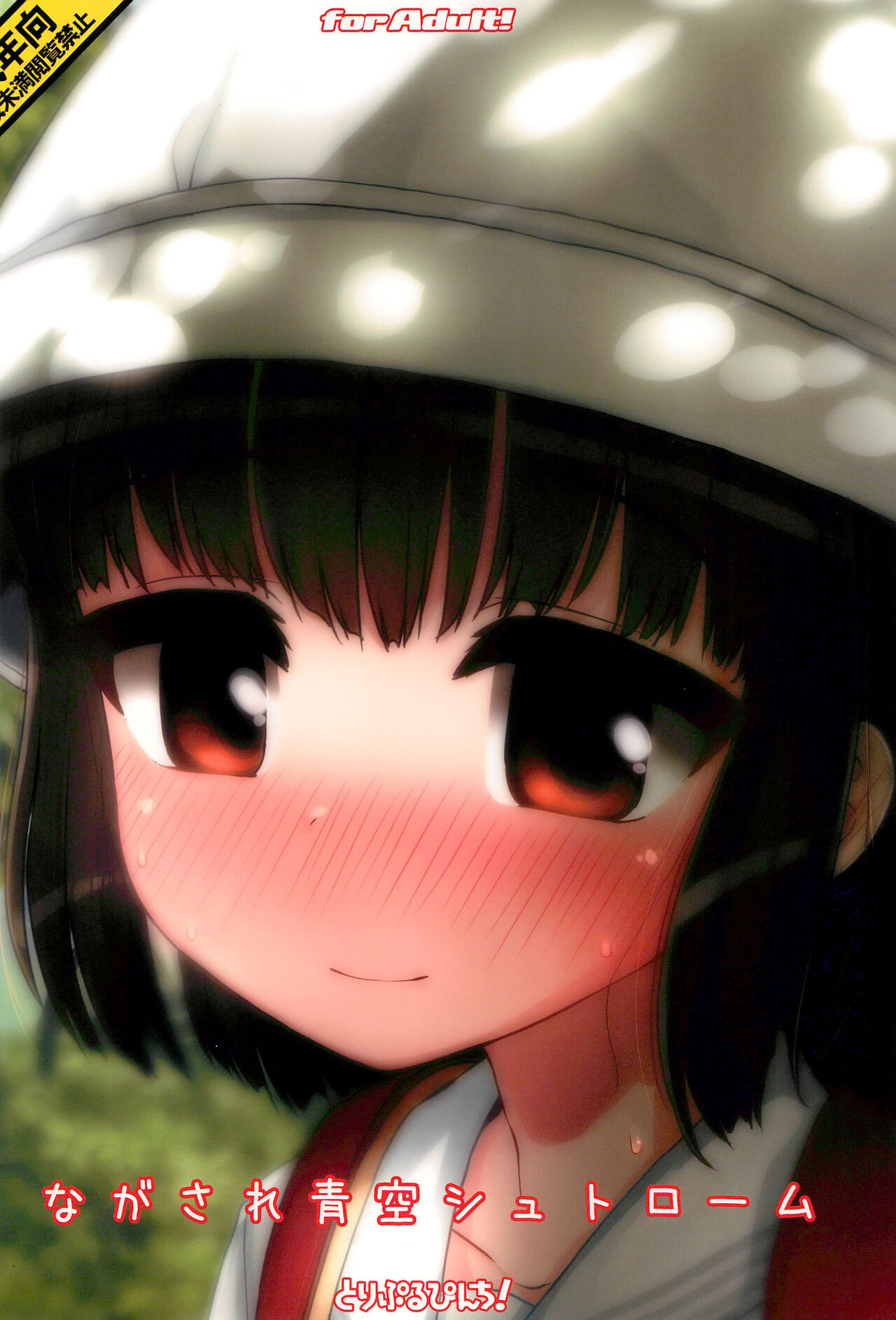 (C99) [とりぷるぴんち! (ひかみいずと)] ながされ青空シュトローム