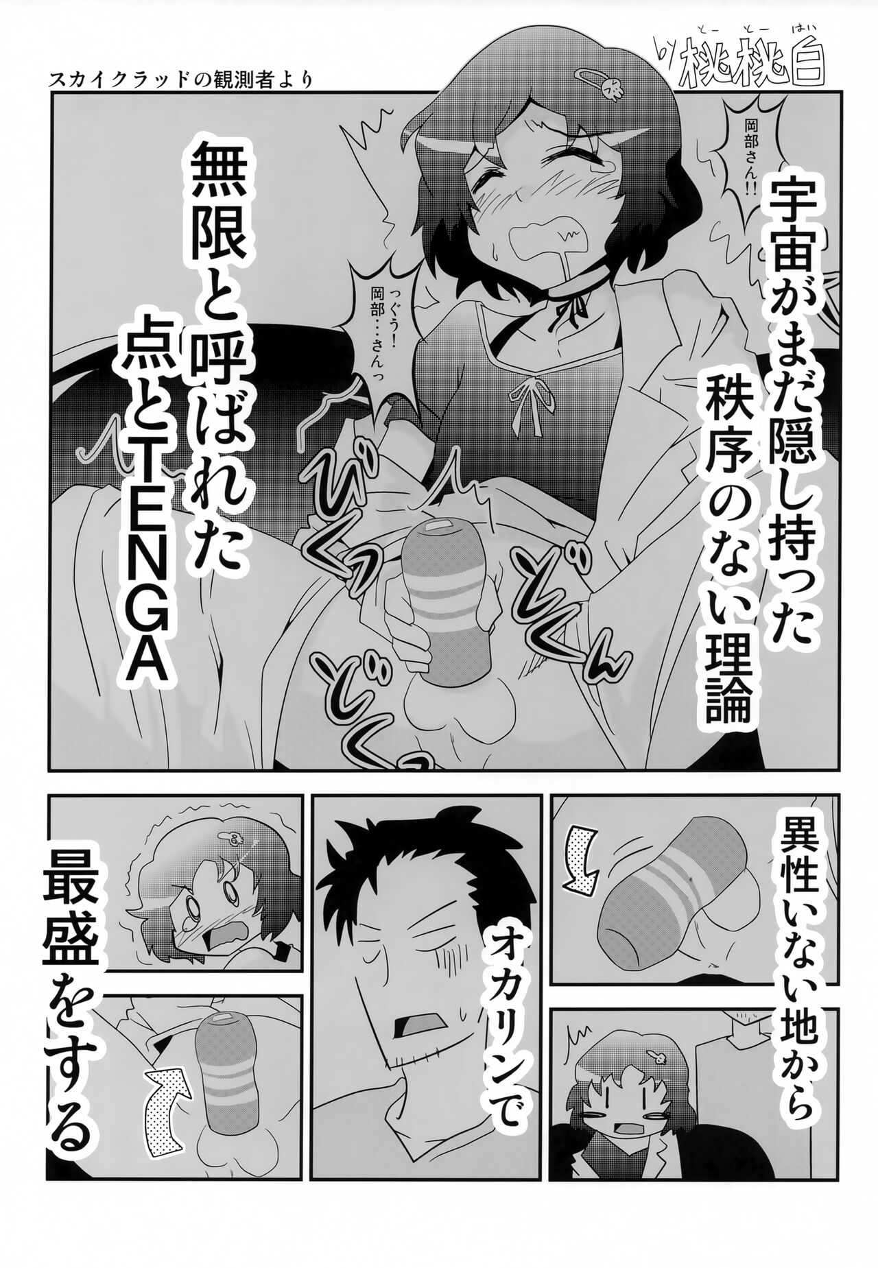 (C83) [310邪猿気違’s (さと)] モエカメラ (Steins;Gate)