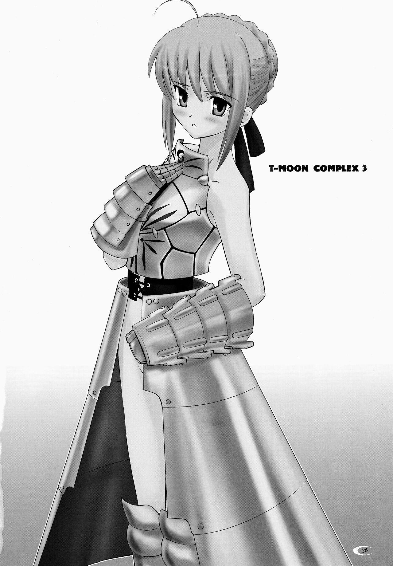 (Cレヴォ35) [Crazy Clover Club (城爪草)] T-MOON COMPLEX 3 (Fate/stay night)