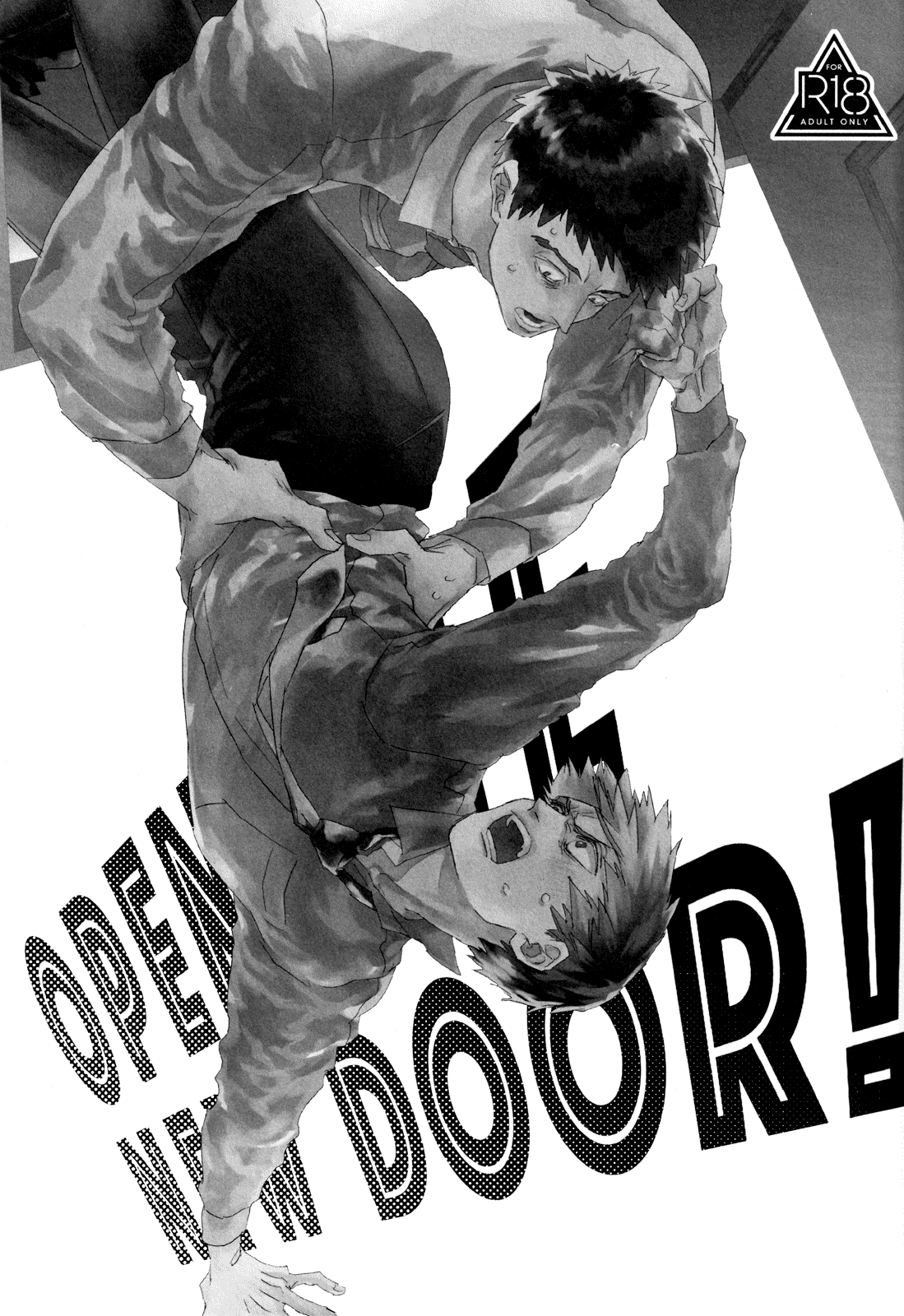細瑕 (柳バトシロー) OPEN THE NEW DOOR!