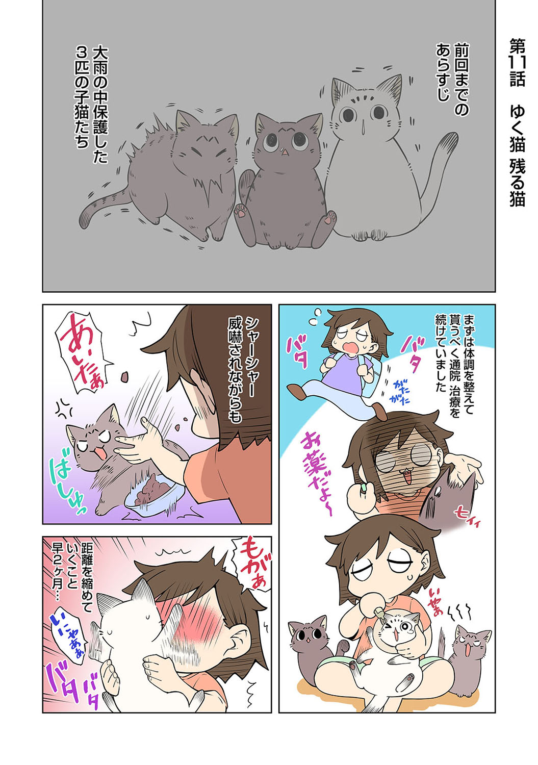 アナンガ・ランガ Vol. 82