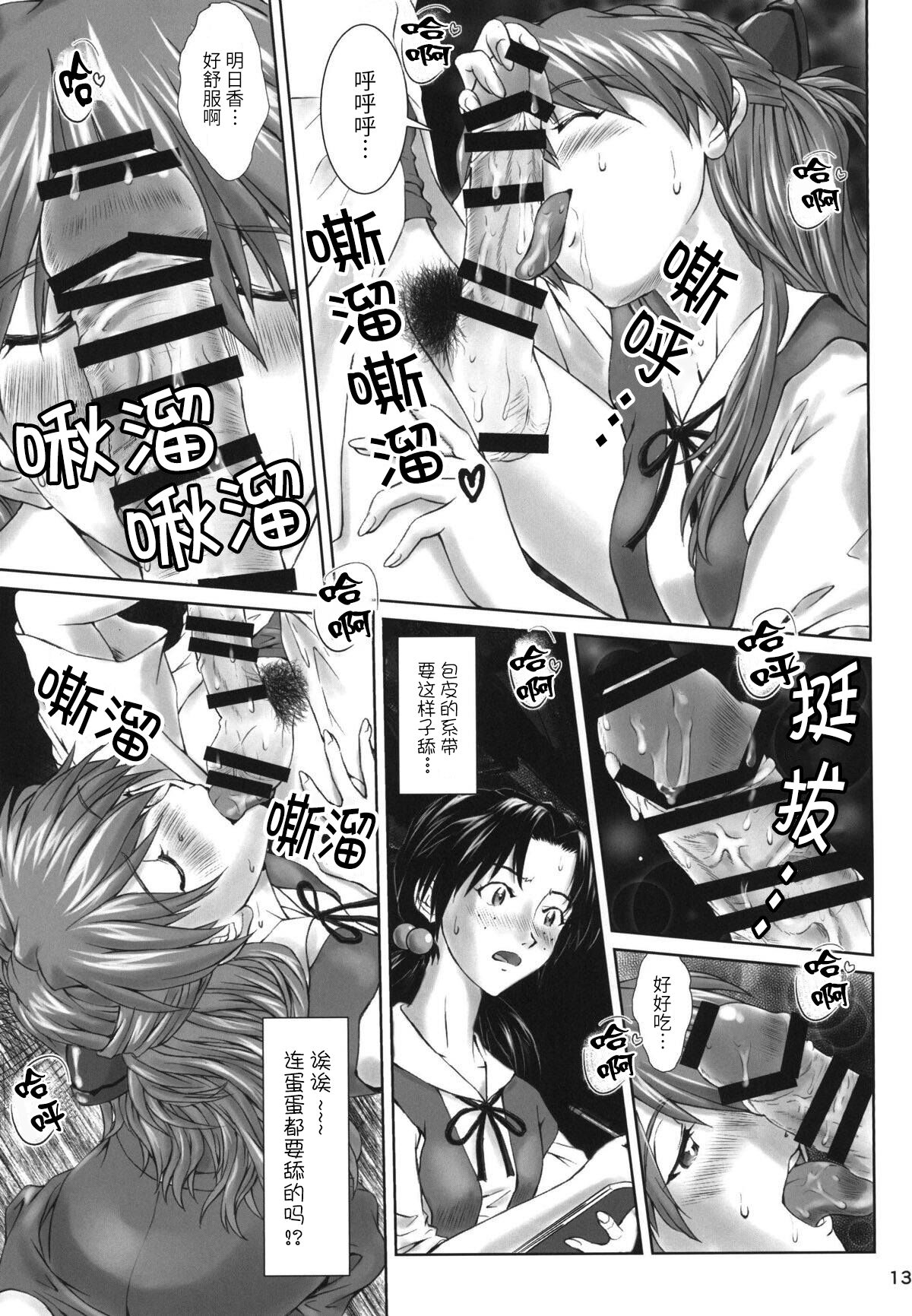 (C94) [天狗のつづら (黒てんぐ)] Let's share it (新世紀エヴァンゲリオン) [中国翻訳]