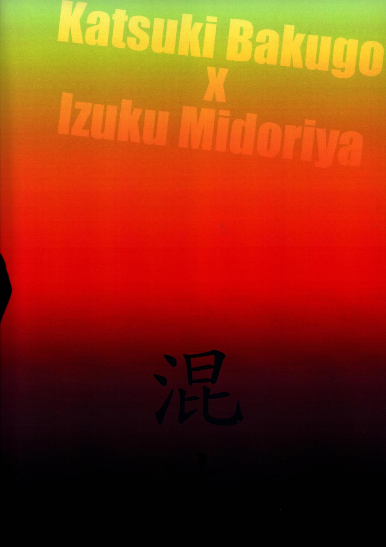 (どうやら出番のようだ!19) [きらかよ (きら)] 混沌 (僕のヒーローアカデミア)