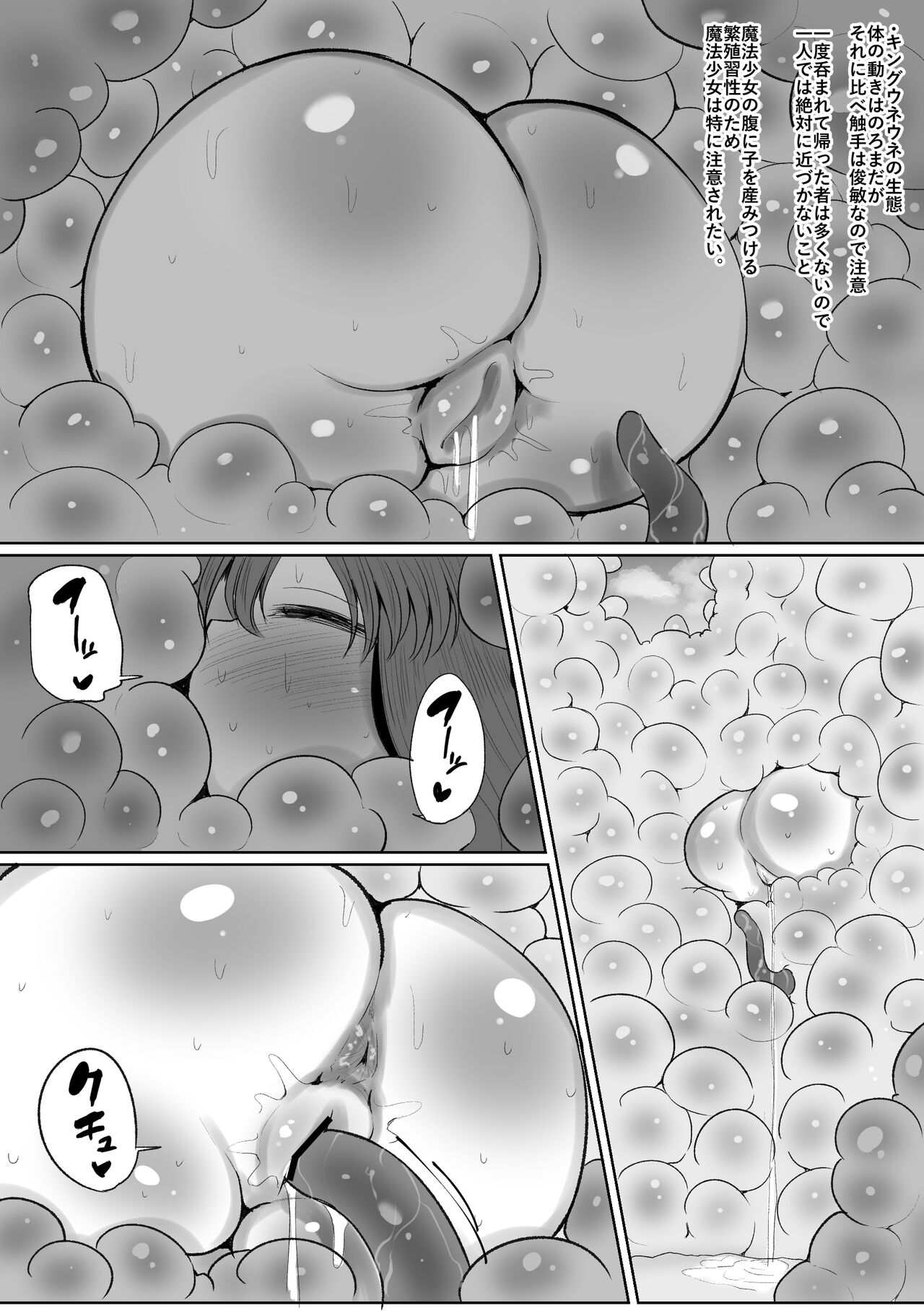 [サークルチェリー・ボーイ (えらい)] 魔法少女の子宮にある濃い魔法パワーを餌にして育つ触手の子