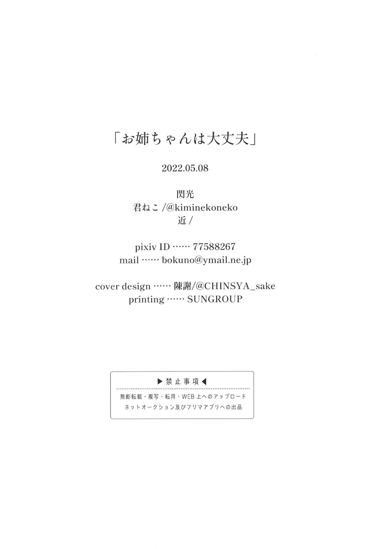 [閃光 (君ねこ)] お姉ちゃんは大丈夫