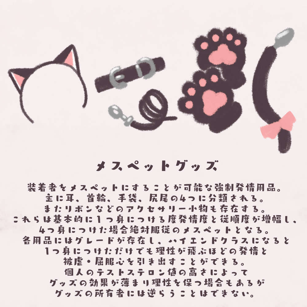 [熊猫] メスペットシリーズ 世界観