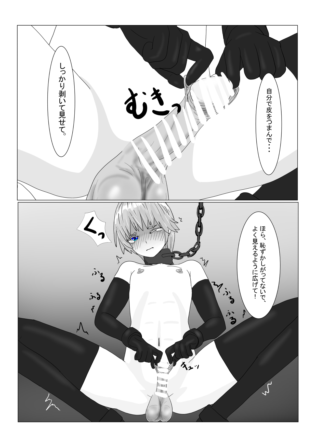 [ 科Y総研] 亡国王子の末路